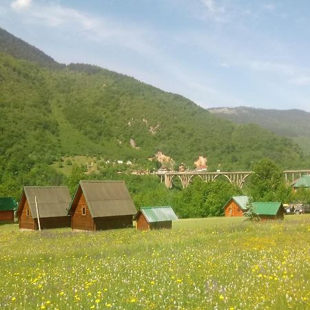 Villa Kamp Rafting Kljajevica Luka Pljevlja Habitación foto